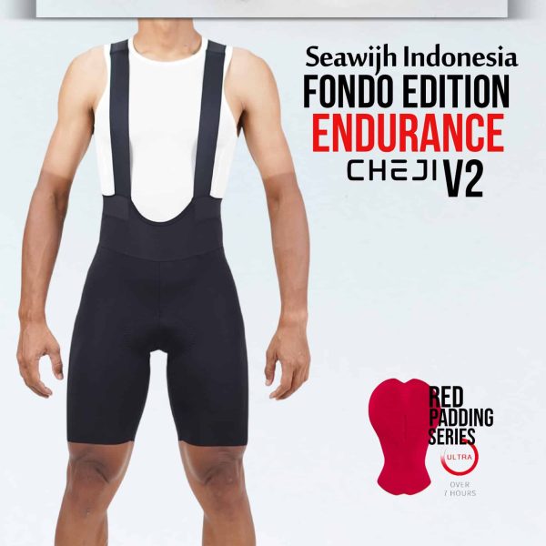 BIB SHORT ENDURANCE V2